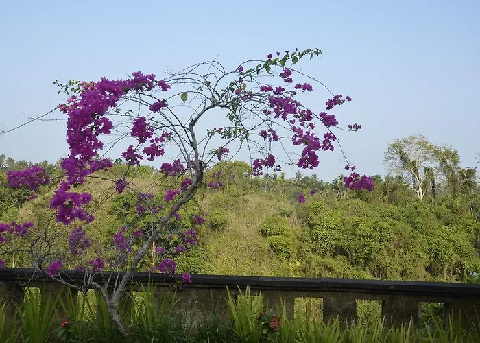 Anhera 4* Ubud (Bali)